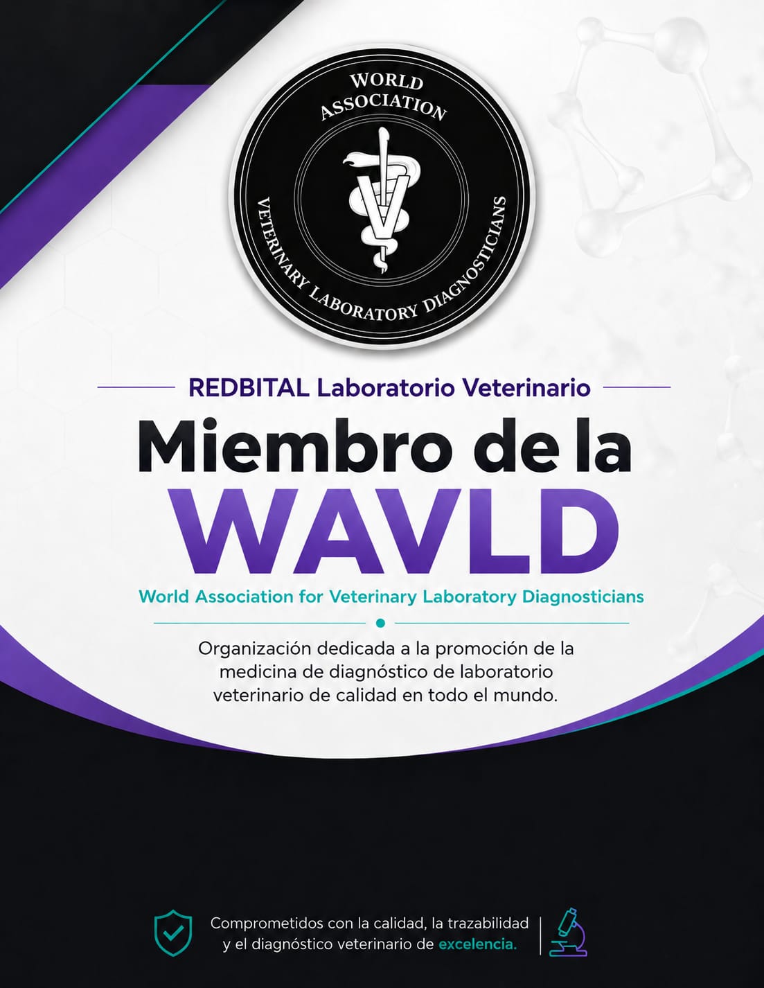 Redbital miembro WAVLD