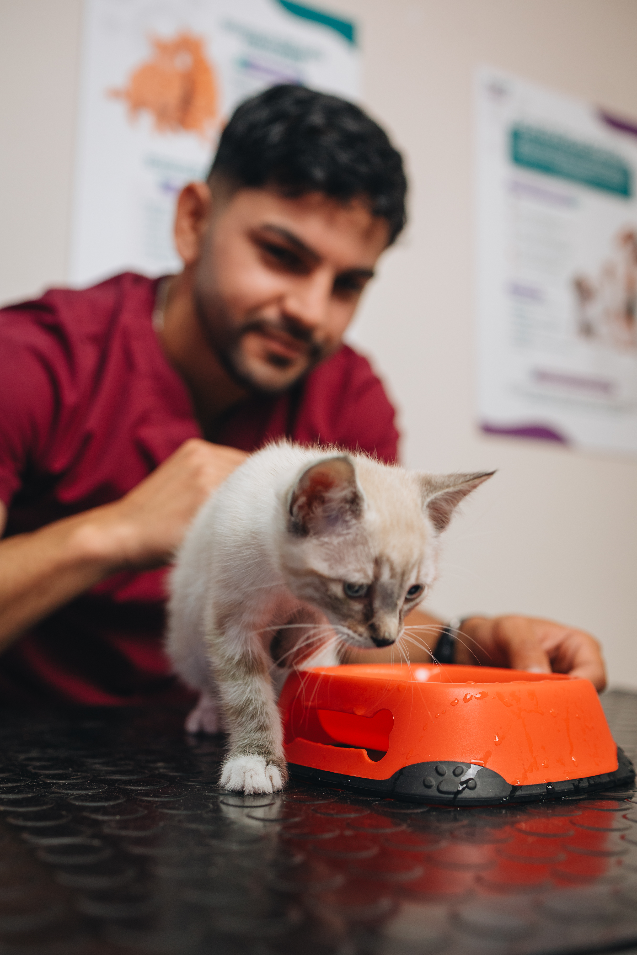 Gatito comiendo durante su consulta en Redbital