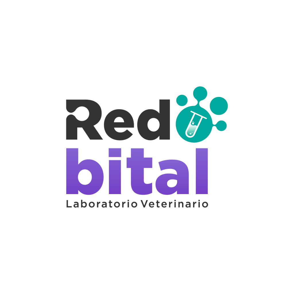 Marca RedBital_Mesa de trabajo 1